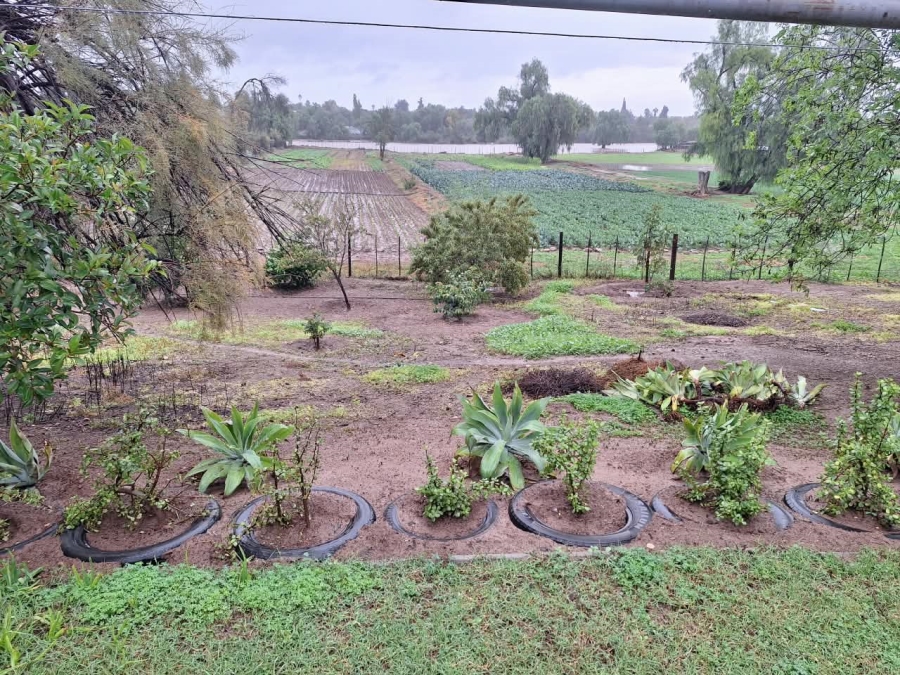 5 Bedroom Property for Sale in Oudtshoorn South Western Cape